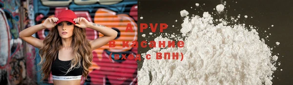 прущие грибы Белоозёрский