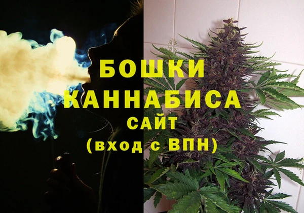 крисы Богородск