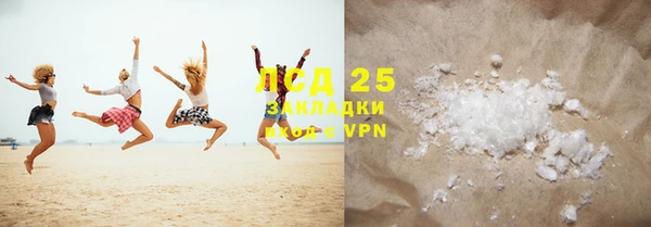 прущие грибы Белоозёрский
