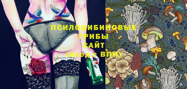 MDMA Белокуриха