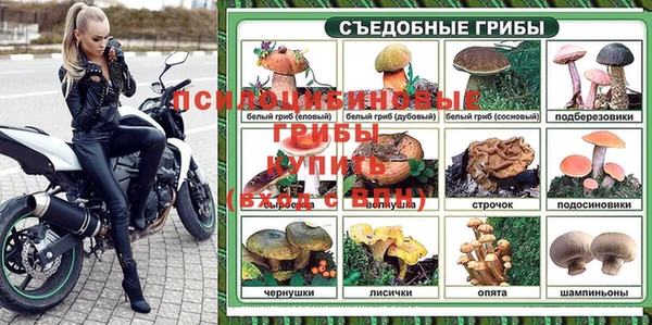 прущая мука Богородицк