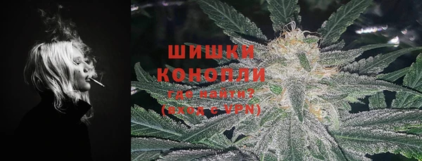 прущие грибы Белоозёрский