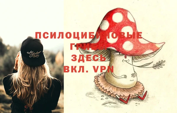 мдма Богданович